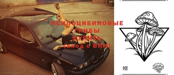 винт Весьегонск