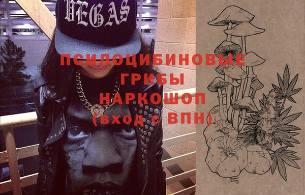 винт Ветлуга