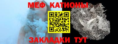 сатива Кингисепп