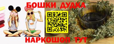 сатива Кингисепп