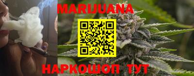 сатива Кингисепп