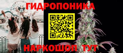 гидра Кимры