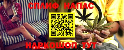 гидра Кимры