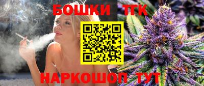 сатива Кингисепп