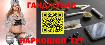 сатива Кингисепп