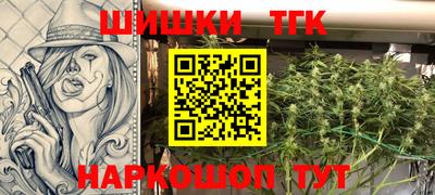 сатива Кингисепп