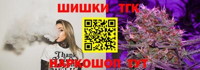 сатива Кингисепп