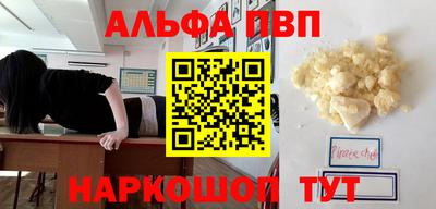 сатива Кингисепп