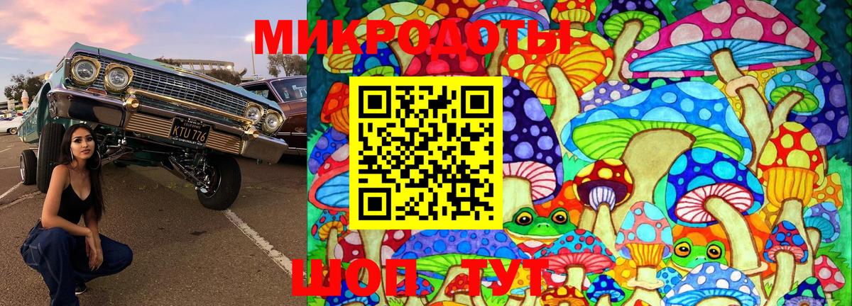 Псилоцибиновые грибы Psilocybe  Вход с VPN  Тольятти  Галлюциногенные грибы GOLDEN TEACHER 