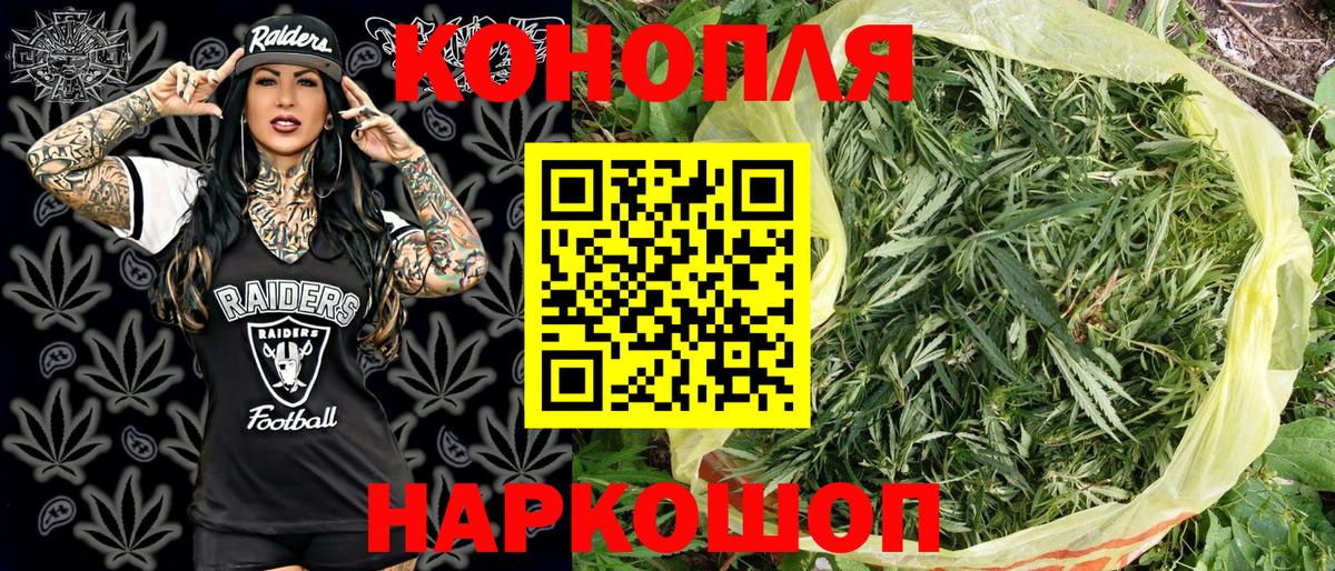 Бошки марихуана конопля Тольятти